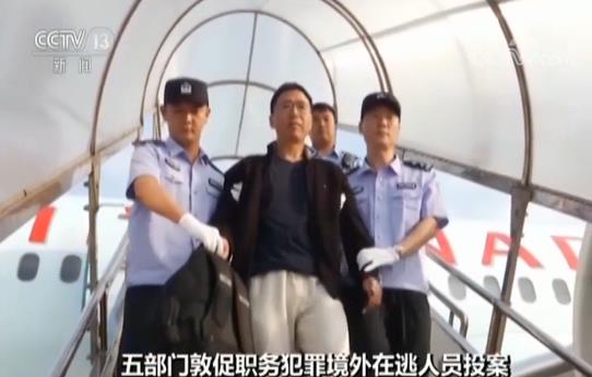 ⭐无异常的
谷歌独享号
去哪买支持刷脸换绑的